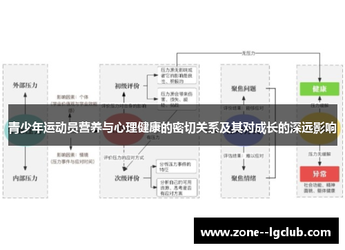 青少年运动员营养与心理健康的密切关系及其对成长的深远影响
